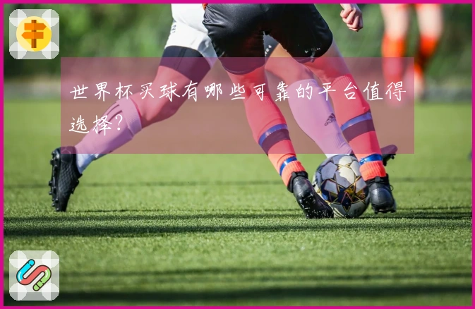 世界杯买球有哪些可靠的平台值得选择？