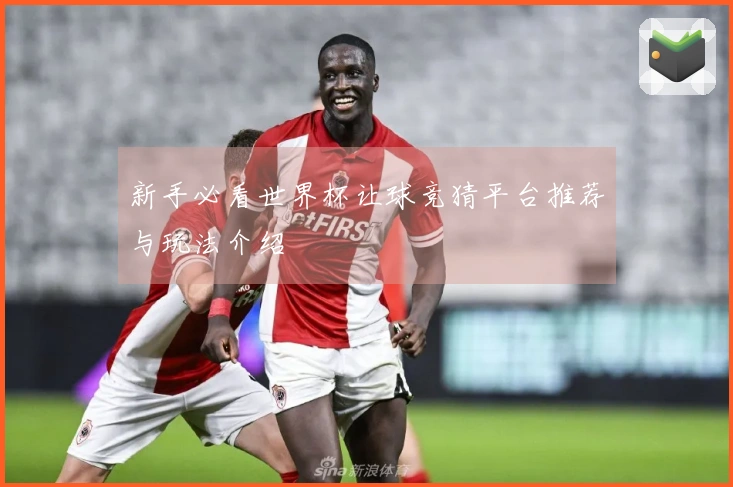 新手必看世界杯让球竞猜平台推荐与玩法介绍