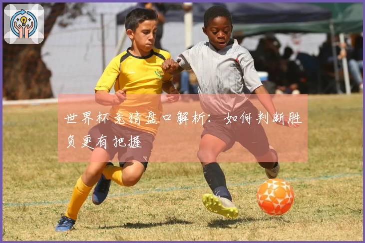 世界杯竞猜盘口解析：如何判断胜负更有把握
