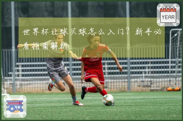 世界杯让球买球怎么入门？新手必看指南解析