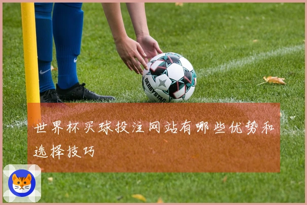 世界杯买球投注网站有哪些优势和选择技巧