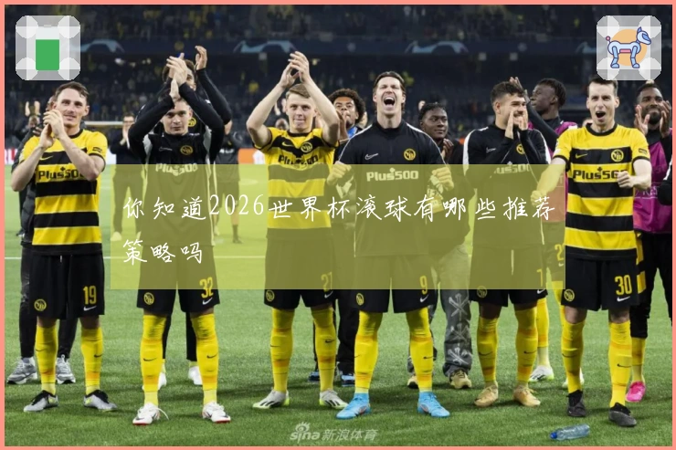 你知道2026世界杯滚球有哪些推荐策略吗