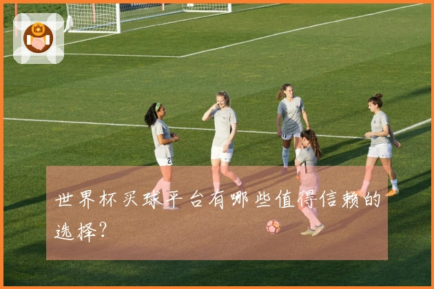 世界杯买球平台有哪些值得信赖的选择？