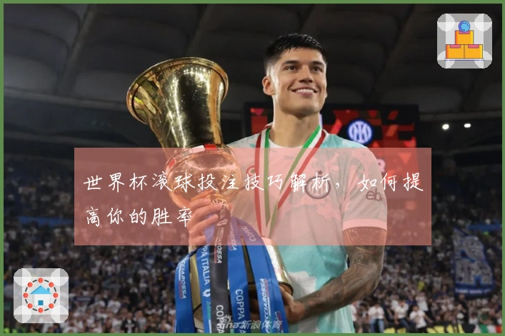 世界杯滚球投注技巧解析，如何提高你的胜率