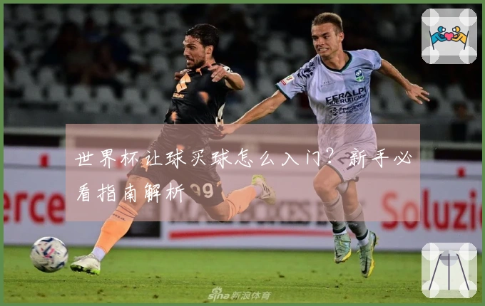 世界杯让球买球怎么入门？新手必看指南解析